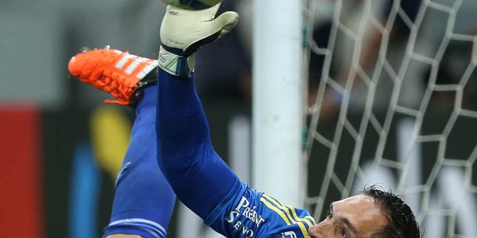  (Cesar Greco/Ag. Palmeiras)