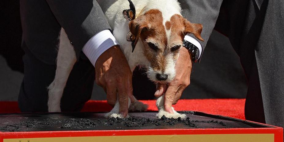 (Robyn Beck/AFP)