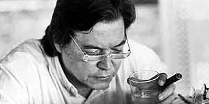  (Ana Lontra Jobim/ site oficial)
