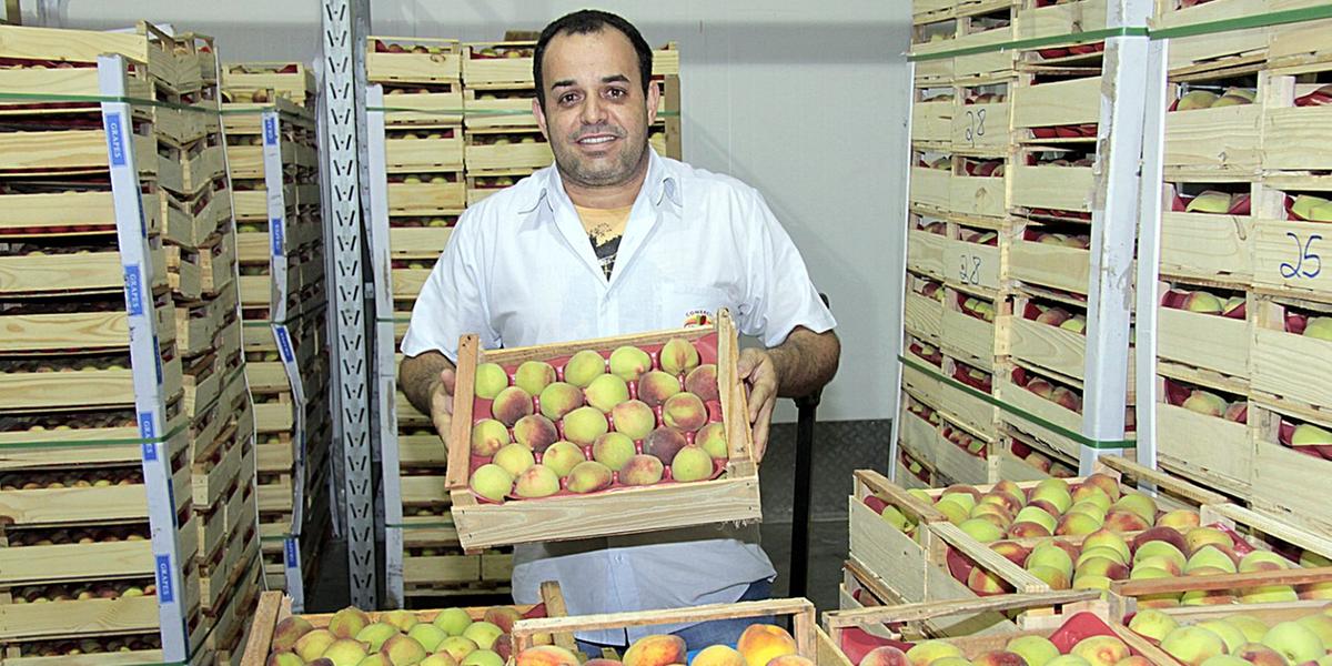 (Sérgio Amzalak)