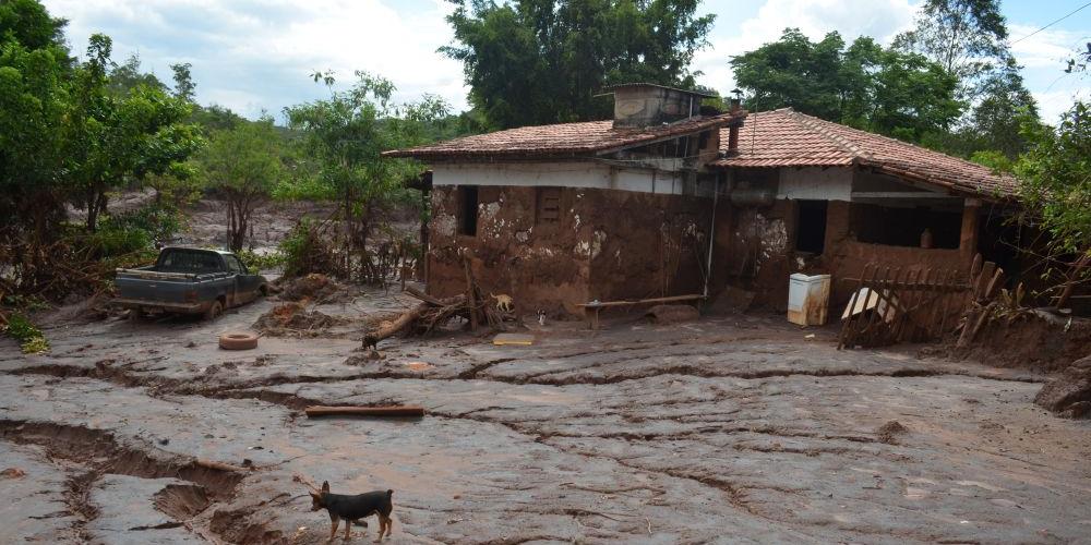 (Embrapa/ Divulgação)