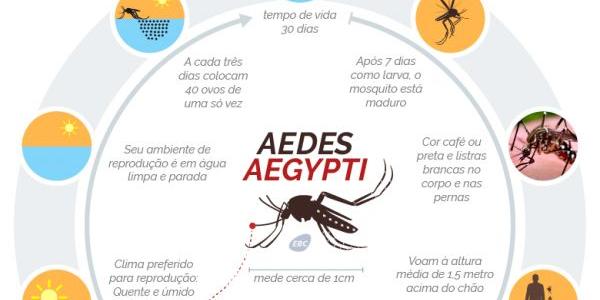 (Agência Brasil)
