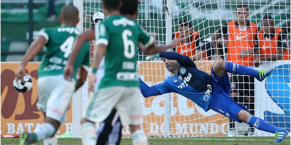  (Sociedade Esportiva Palmeiras/Divulgação)
