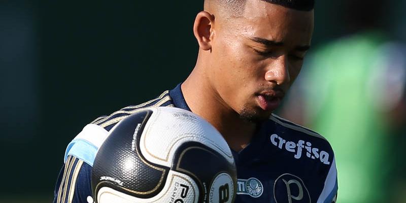  (Palmeiras/Divulgação)