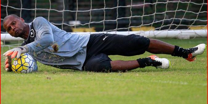 (Reprodução/ Flickr Botafogo)