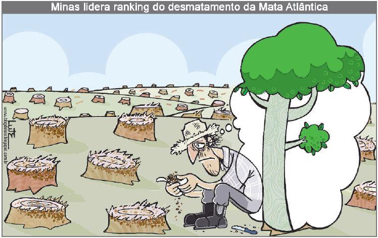 Minas lidera ranking do desmatamento da Mata Atlântico