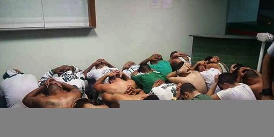 (Divulgação/ PMDF)