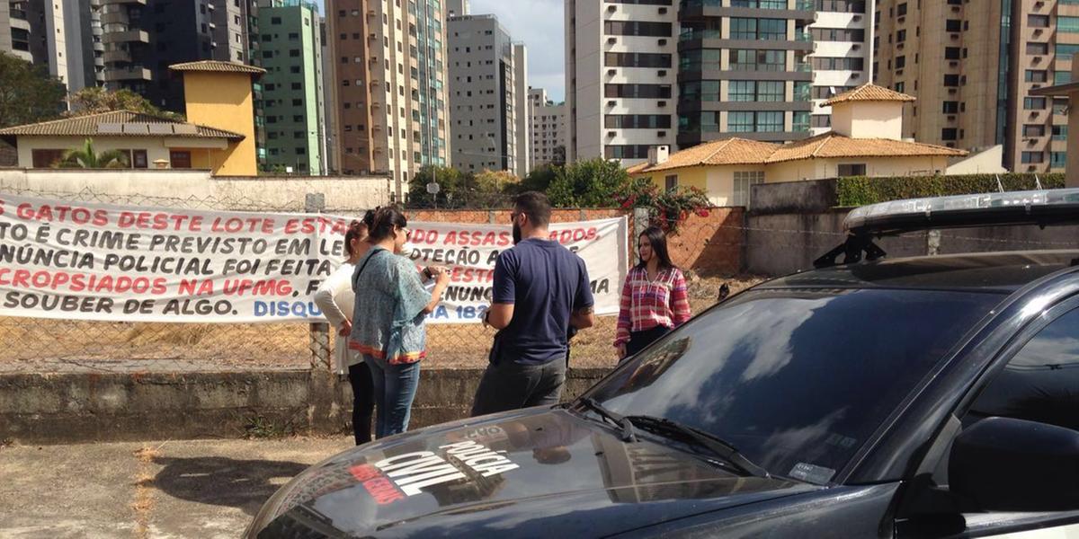 (Patrícia Salles/Reprodução)