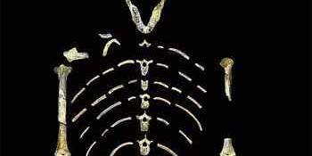  (John Kappelman/ UT Austin/ Divulgação)