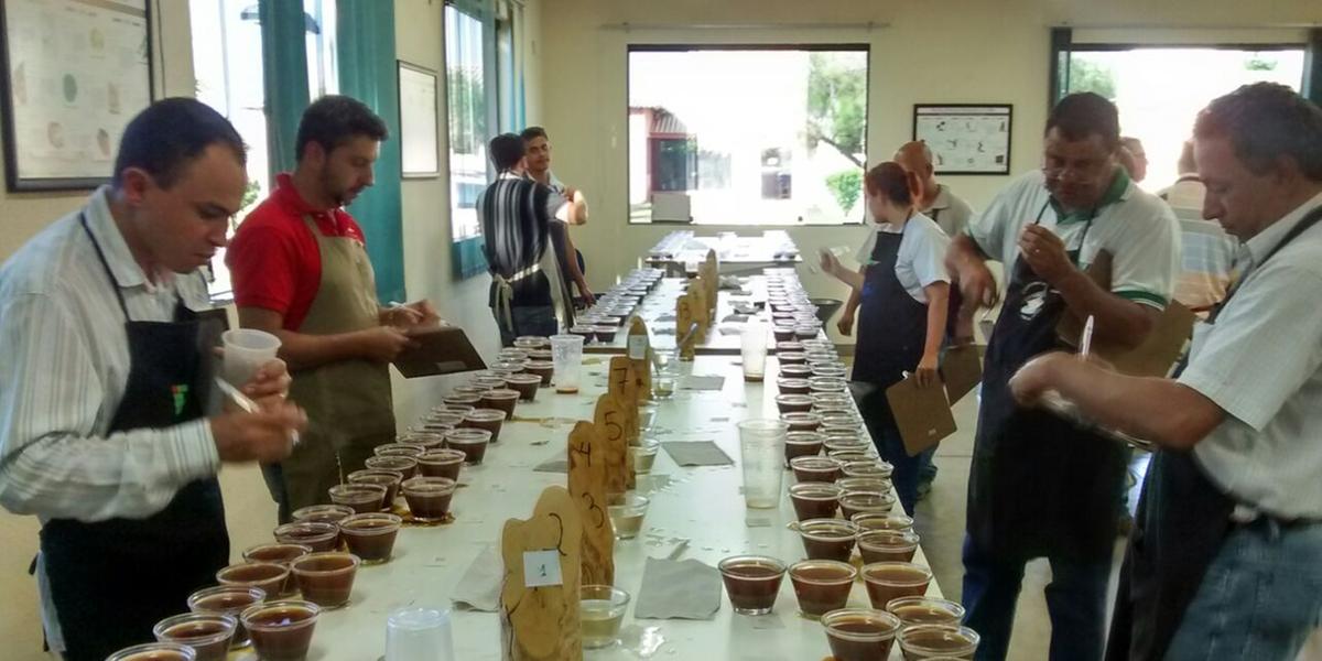 (Divulgação/Emater-MG/Agência Minas)