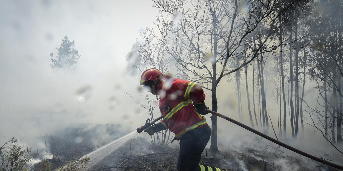  (AFP PHOTO / MIGUEL RIOPA)