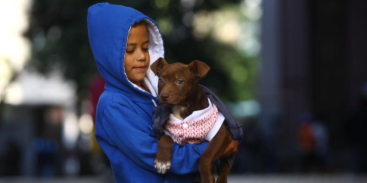 Baixa temperatura será registrada nas primeiras horas da manhã (Hoje em Dia)