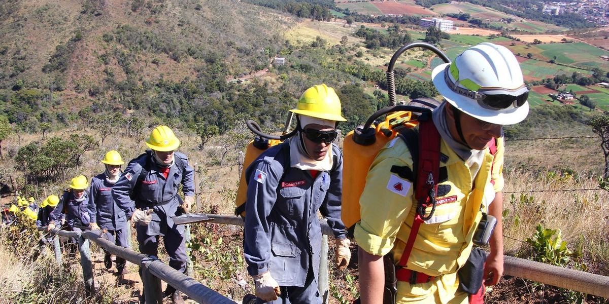  (Divulgação Corpo de Bombeiros)