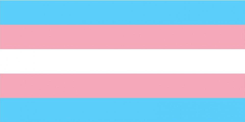 Bandeira trans (Reprodução Wordpress)