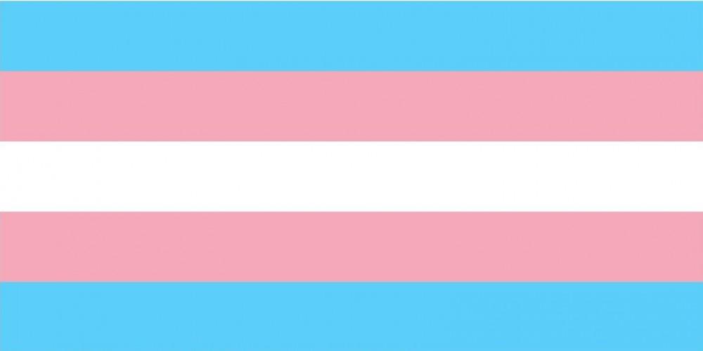 Bandeira trans (Reprodução Wordpress)