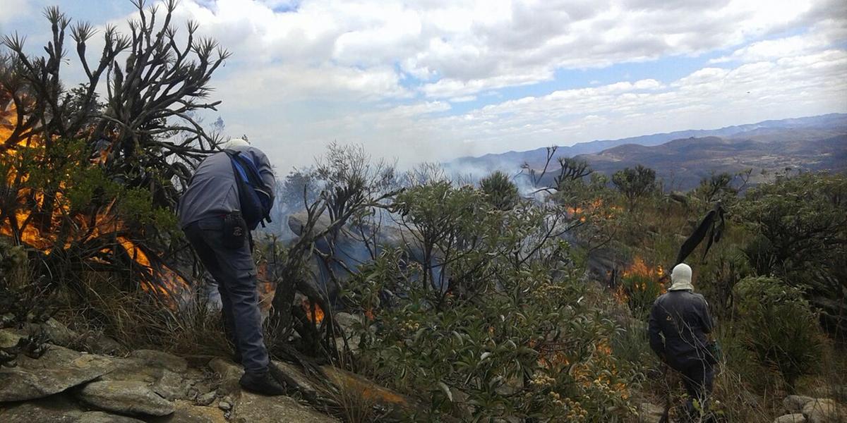 (Divulgação/Corpo de Bombeiros de Minas Gerais)