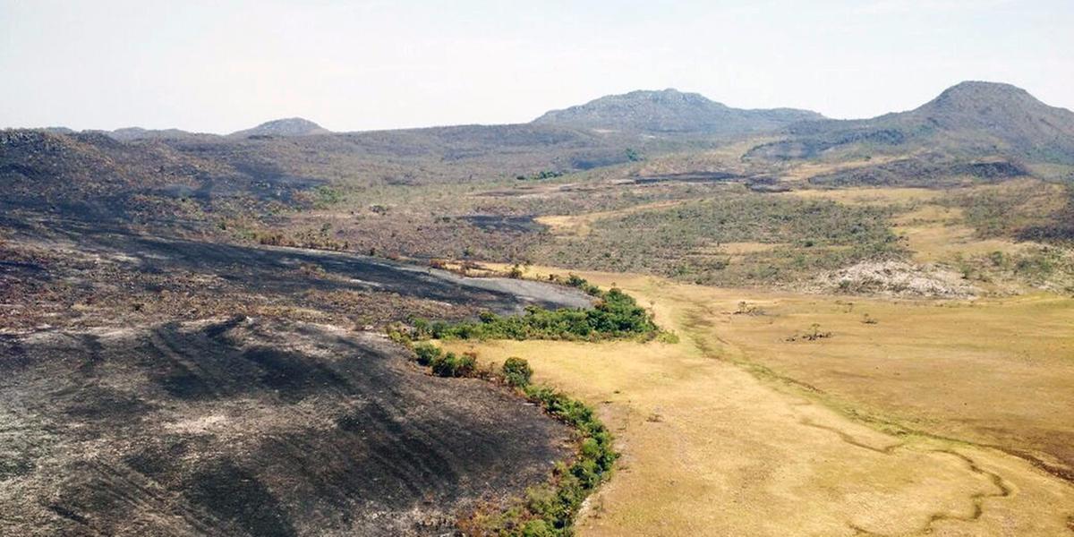  (FERNANDO TATAGIBA / Chico Mendes Institute for Biodiversity Conservation / AFP)