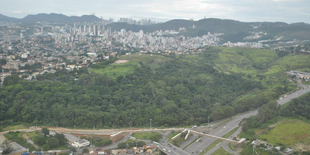 (Amadeu Barbosa)