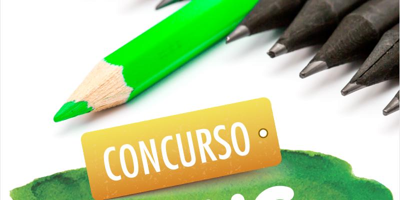  (Divulgação Cemig)