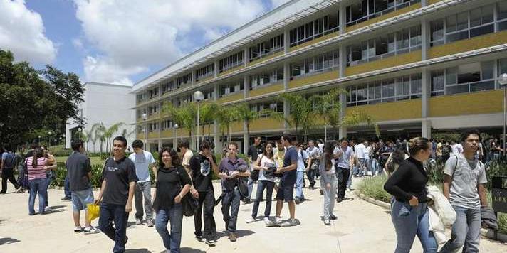  (Foca Lisboa/UFMG/Divulgação)