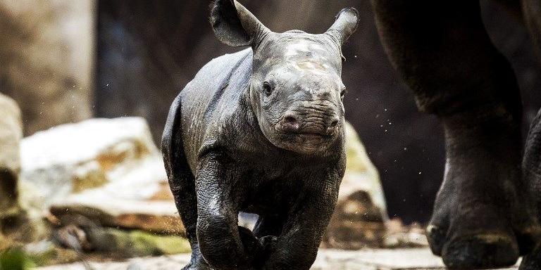 (Remko de Waal / ANP / AFP)