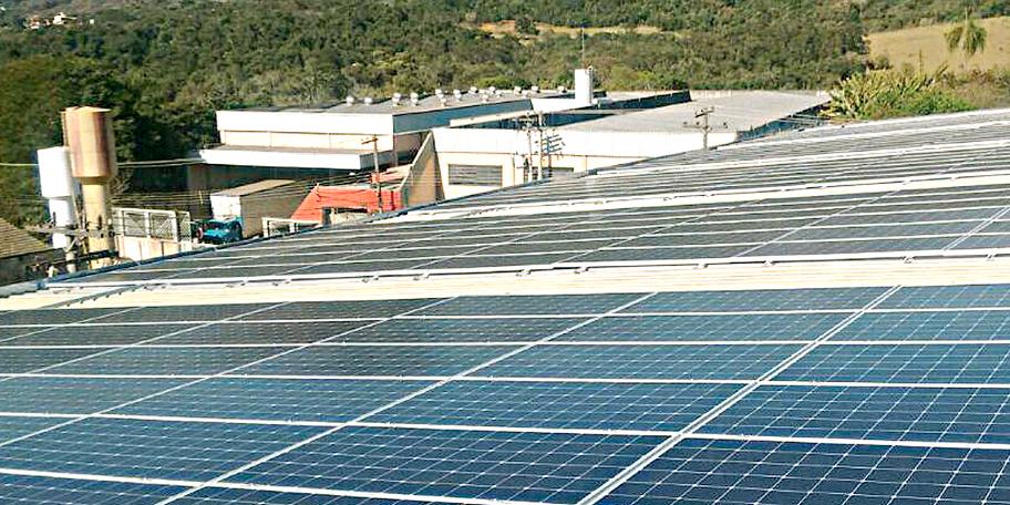 ( Forgreen Energia Renovável/ Divulgação )