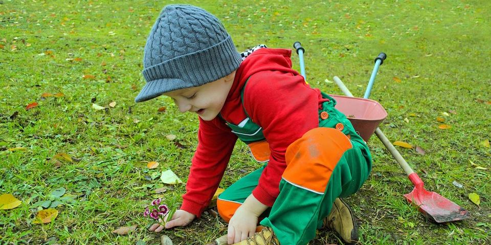 (Pixabay)