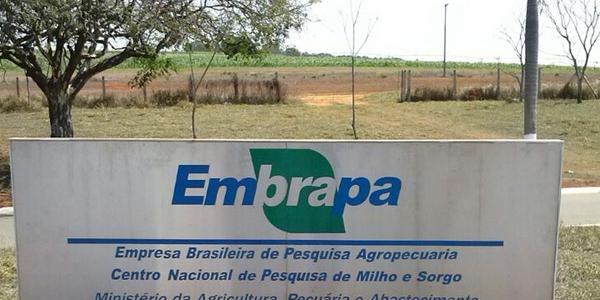 Matéria segue para a sanção da Presidência da República (Reprodução/ Google maps)