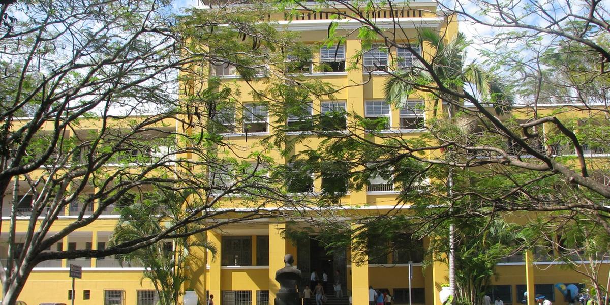 (Hospital da Baleia/Divulgação)