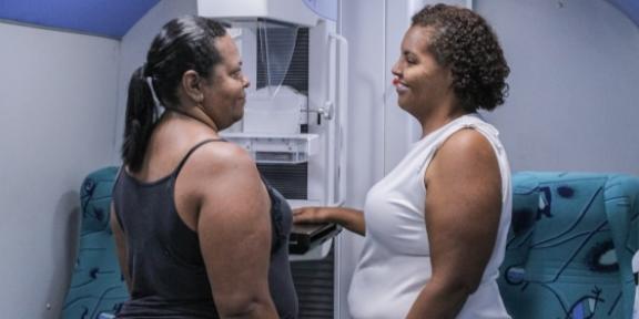 (Projeto Margarida)