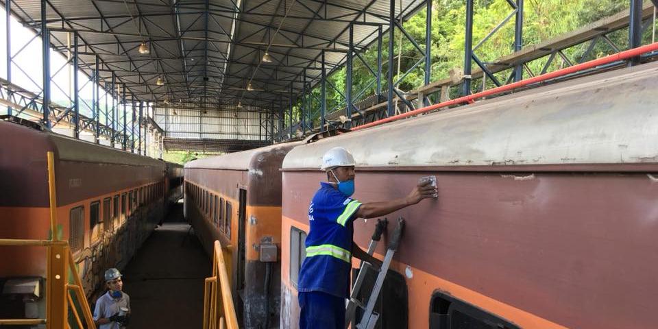  (ONG Amigos do Trem/Divulgação)