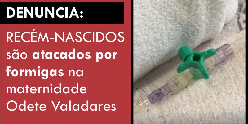 (Asthemg/Divulgação)