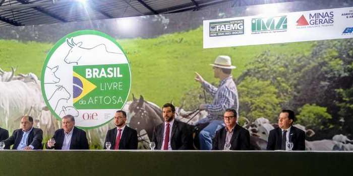 (Divulgação/Seapa)