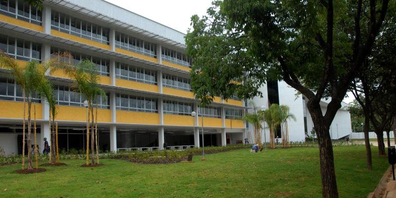  (Sara Grunbaum/Divulgação/UFMG)