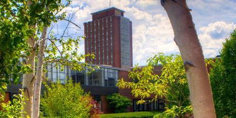 (Binghamton University)
