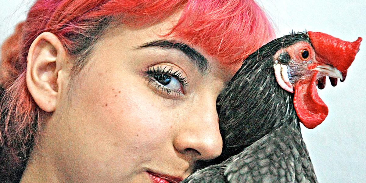 (Riva Moreira)