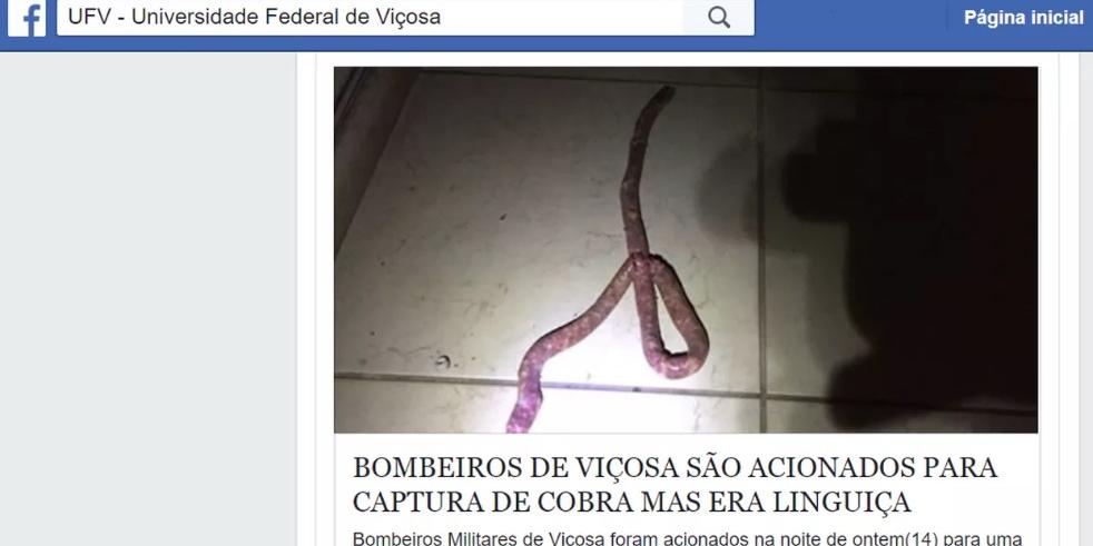 (Reprodução Facebook)