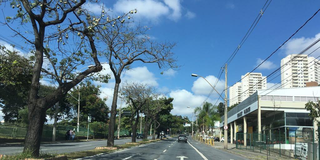 (Mauricio Vieira)
