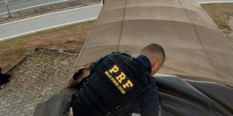  (PRF/Divulgação)