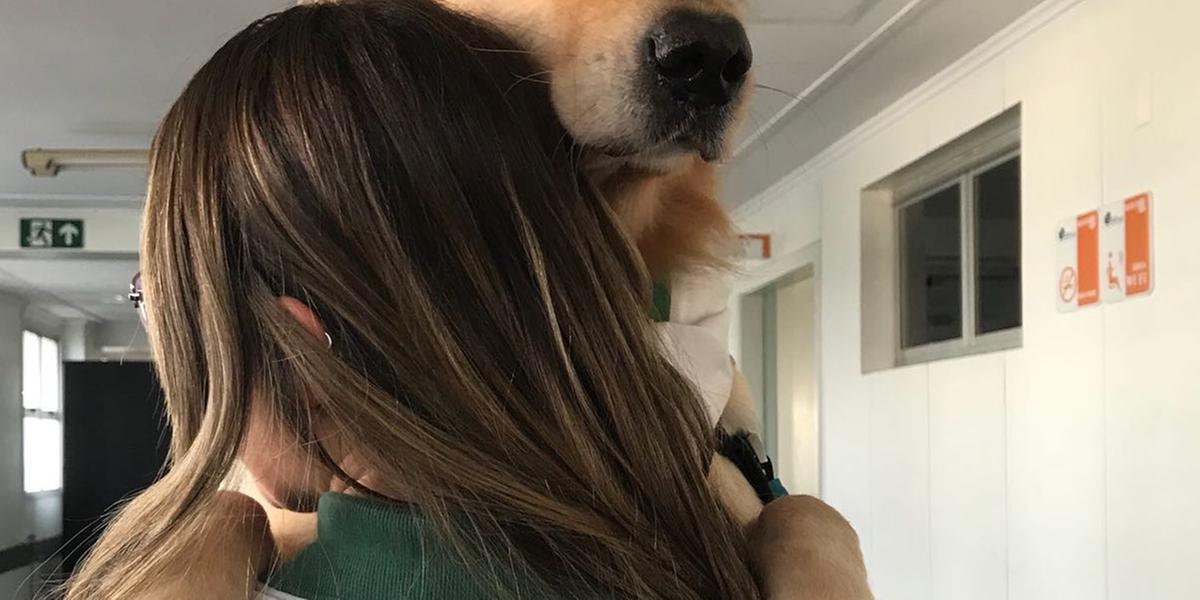  (Um Dia de Cão/Divulgação)