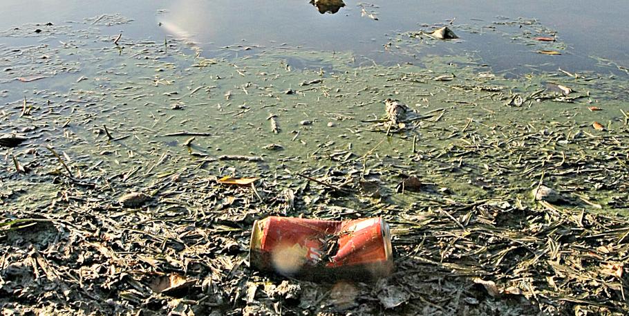 Lagoa da Pampulha convive com problema histórico de poluição (Lucas Prates / Hoje em Dia )