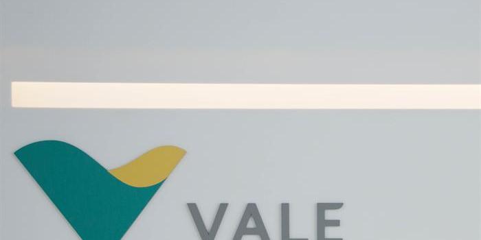 (Vale/Divulgação)