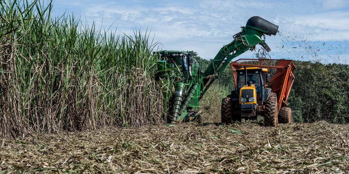  Canadá exerce papel importante para o fornecimento de fertilizantes para Minas Gerais  (Divulgação)