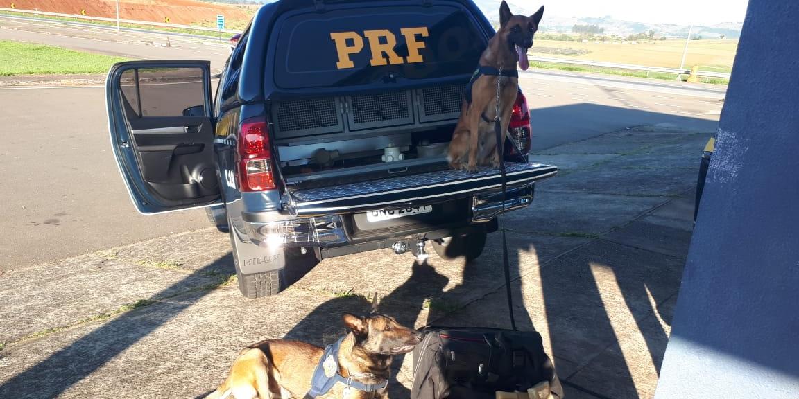 (Polícia Rodoviária Federal/Divulgação)