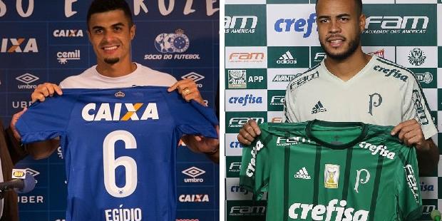  (Divulgação)