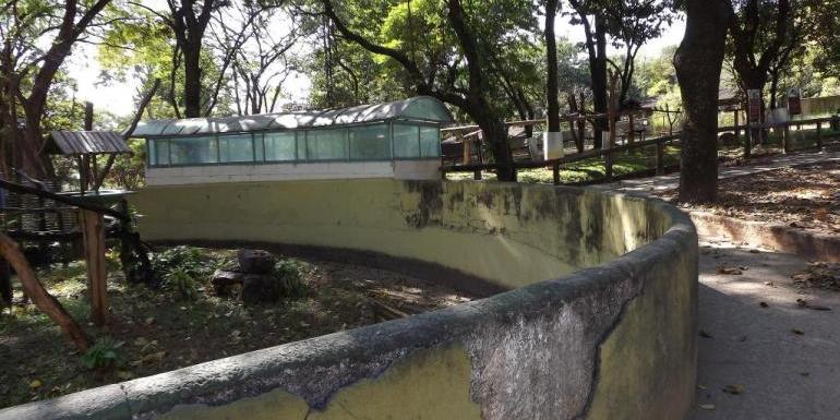 (Suzane Fonseca/PBH)