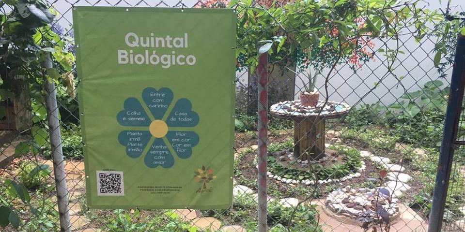 (Divulgação/ UFMG)
