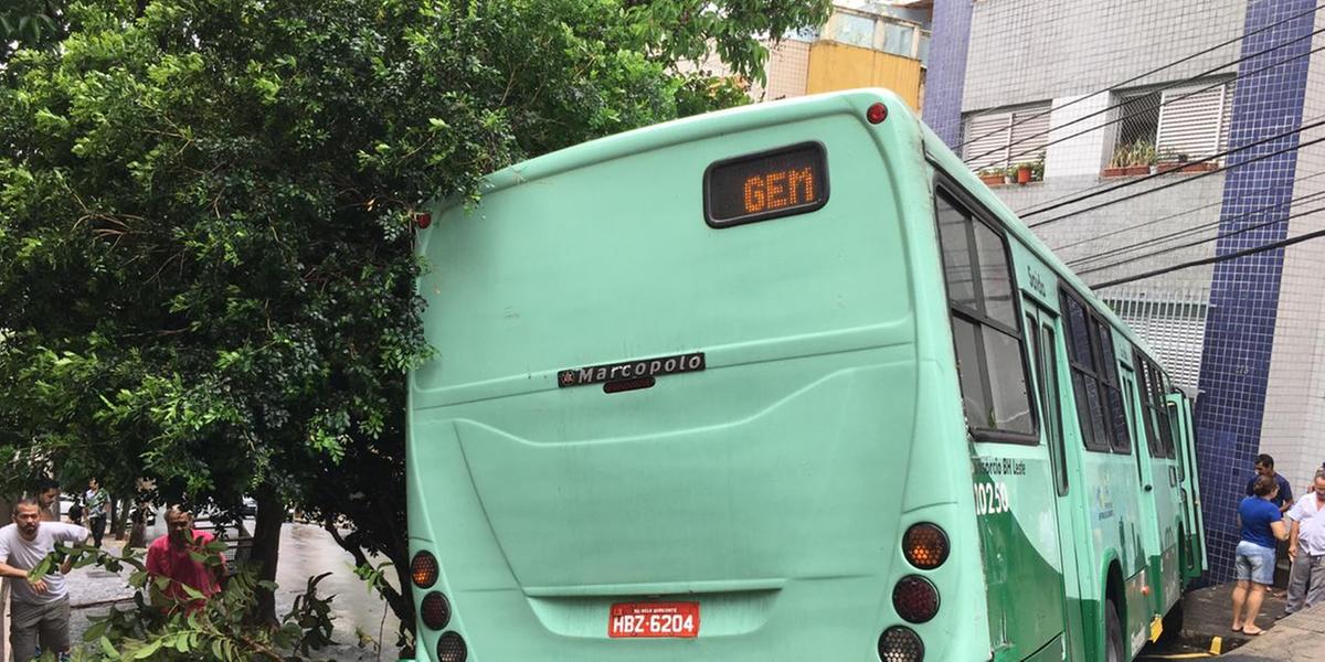 (Mário Nogueira/Divulgação)