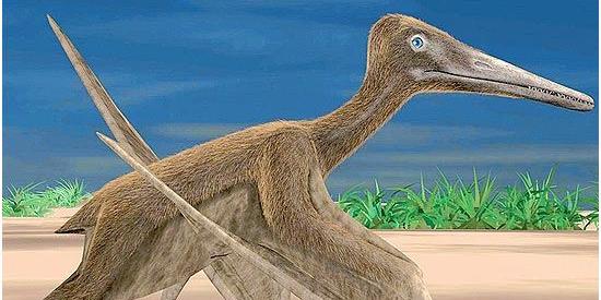 Mundo Pré-Histórico: Pteranodonte