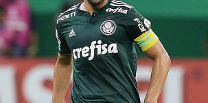 (Palmeiras FC)